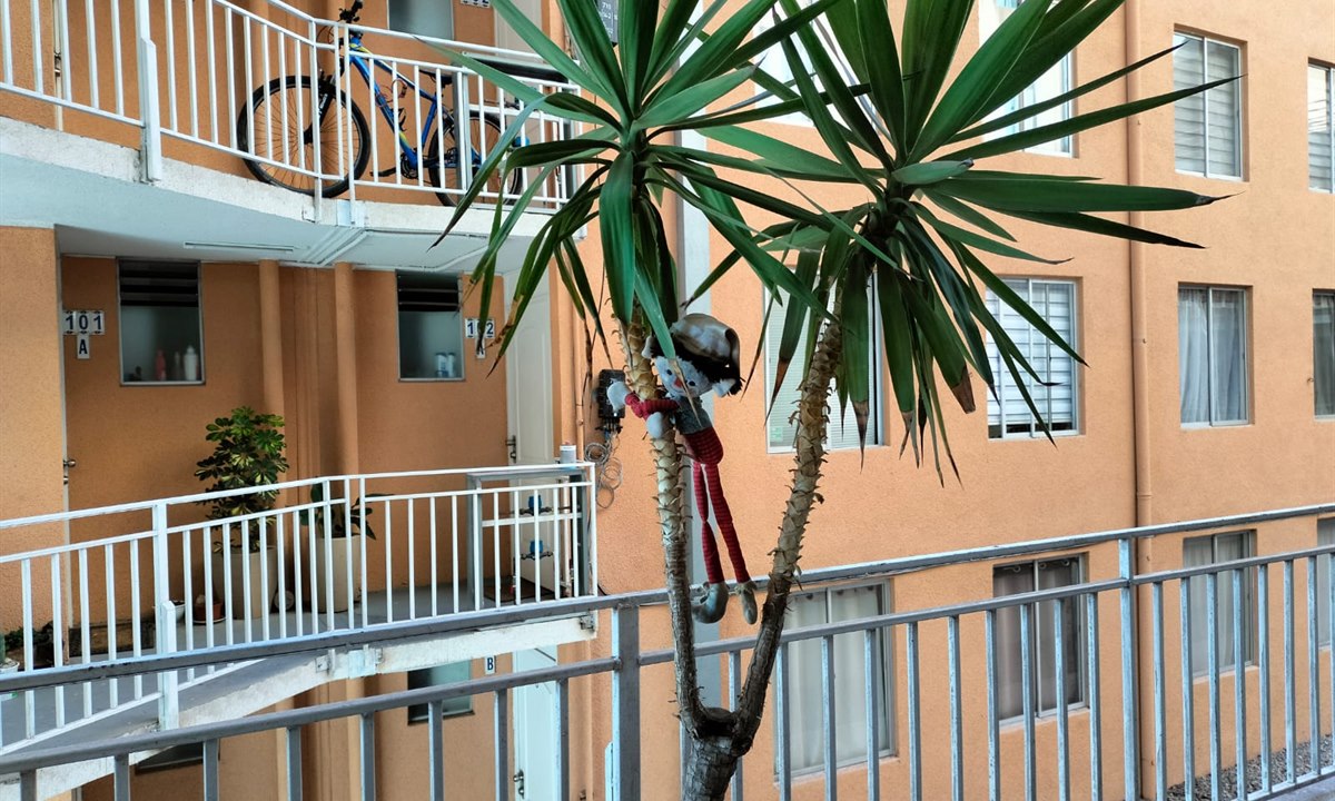Área interior del condominio